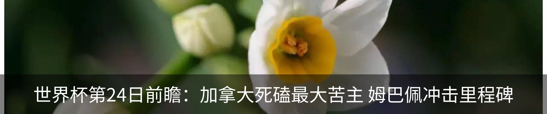 最新动态