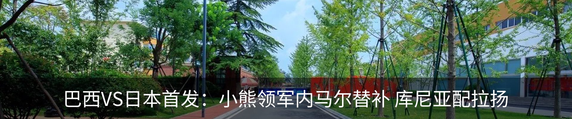 最新动态