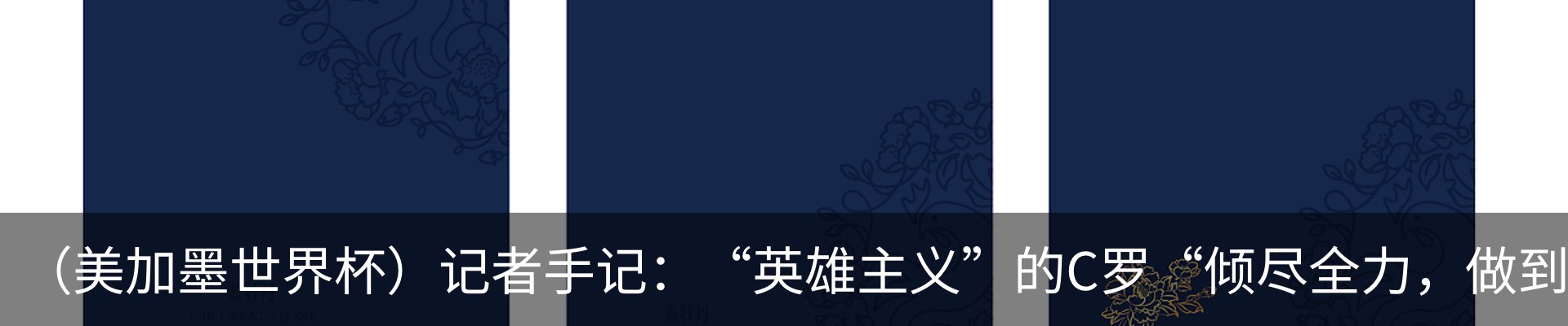 最新动态